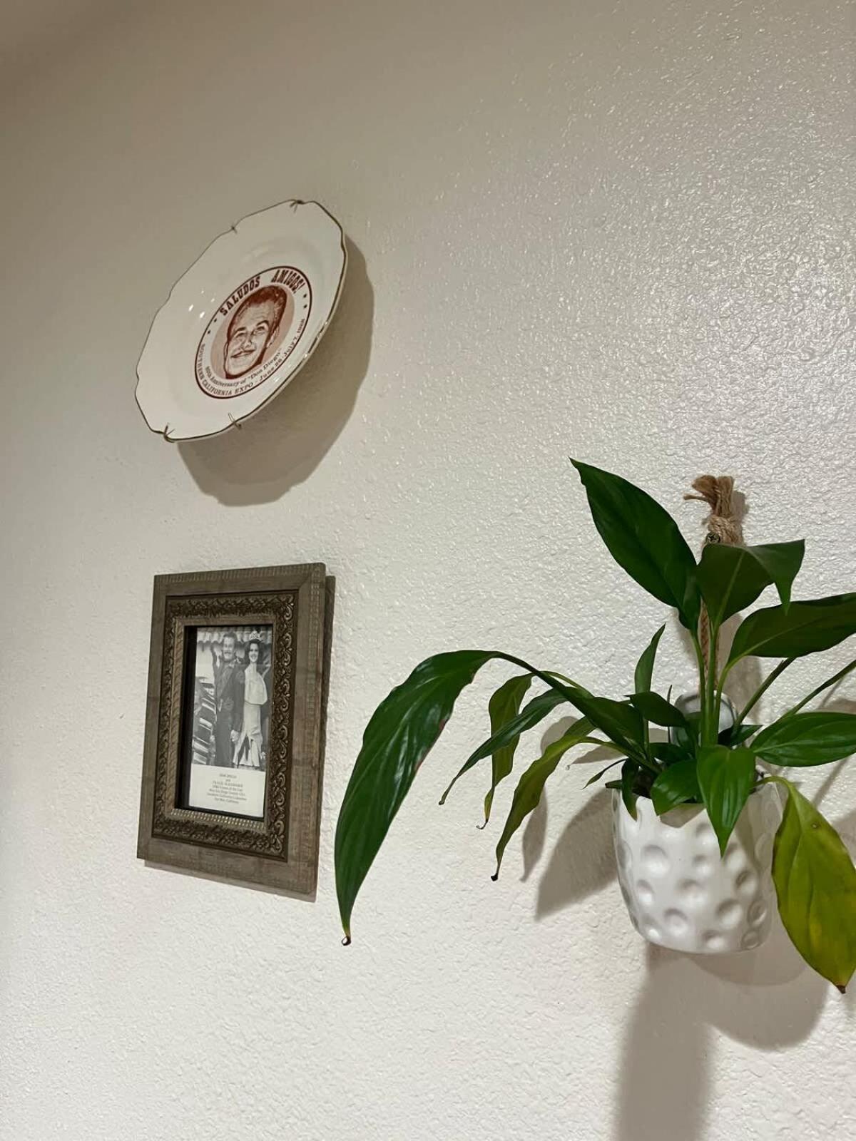 Casita Violeta Pet-friendly Getaway Near Balboa * San Diego